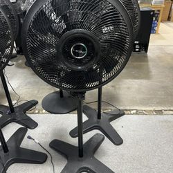Laska Fan