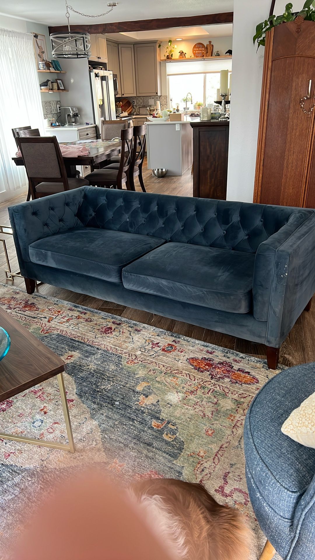 Velvet Couch