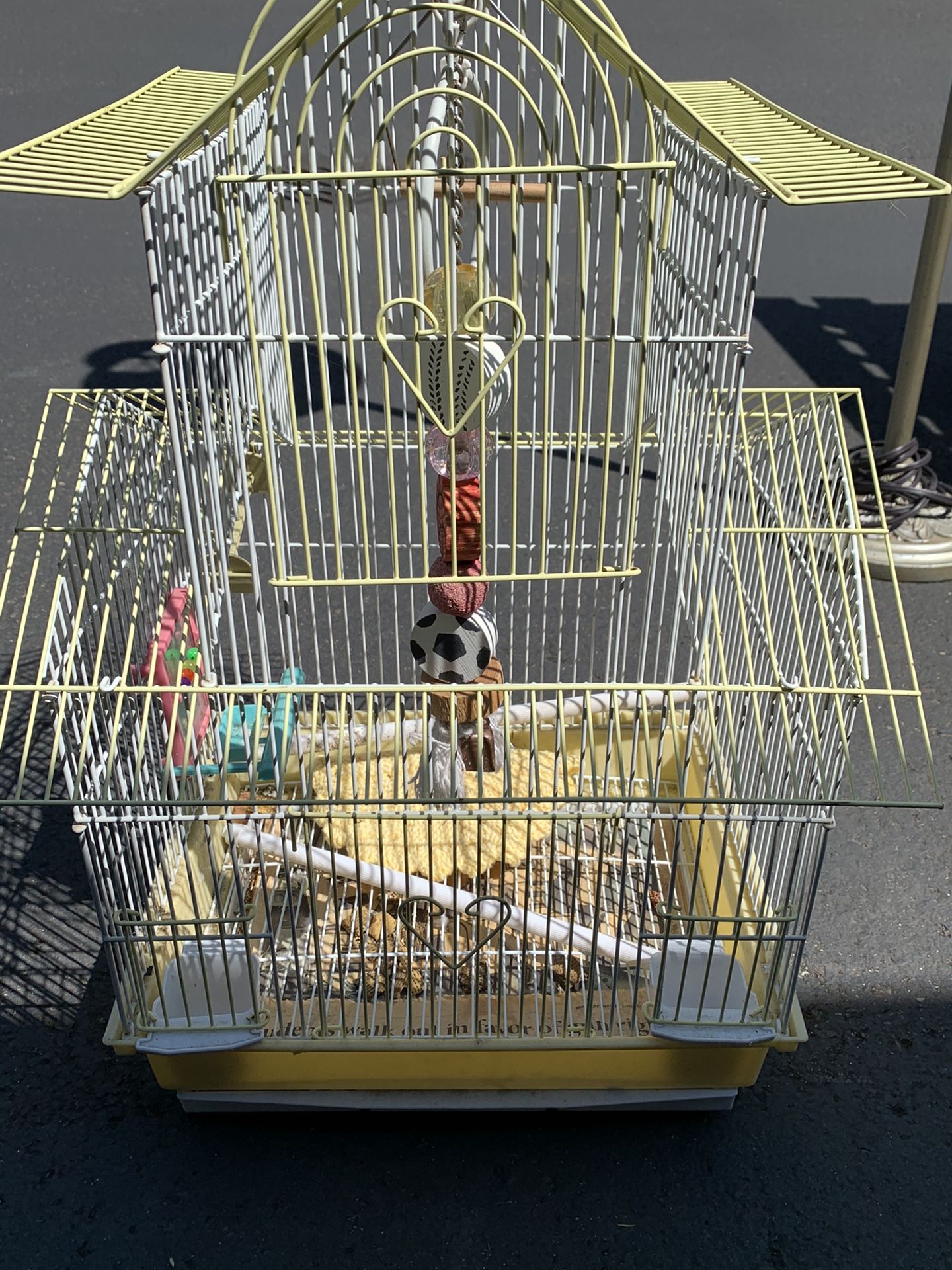 Bird Cage