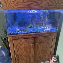 Fish Tank With 2 Fish