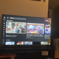 Vizio 70 inch