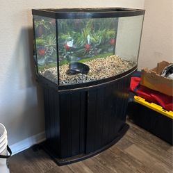Project Broken 55 Gallon Bowed Fish Tank And Gravel  In