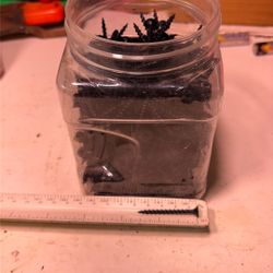 Wood Screws 1 Inch And A Half