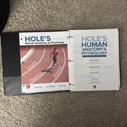 Hole’s Human Anatomy And Physiology Textbook 15th Ed