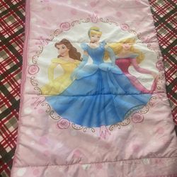 Disney Sleeping Bag