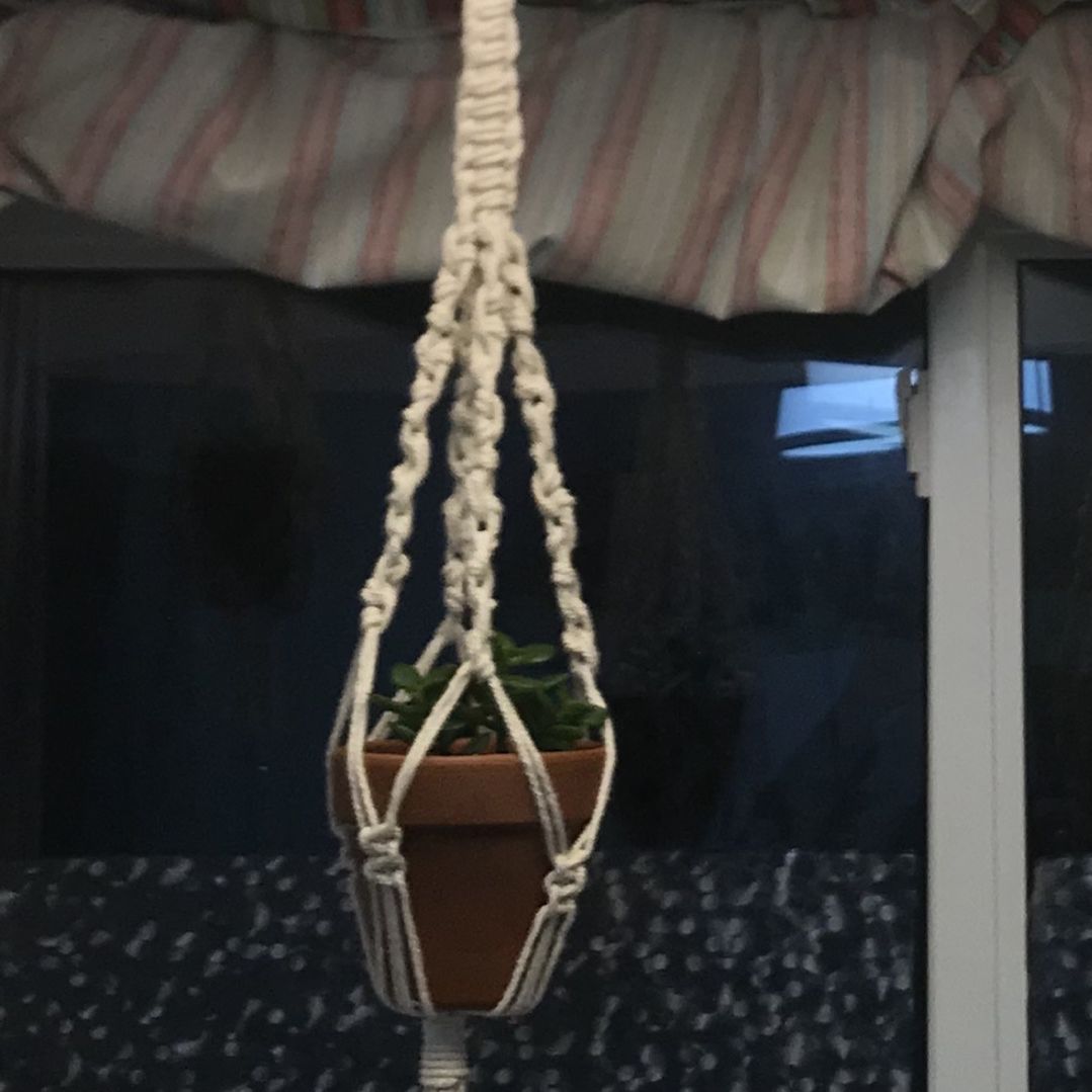 Macrame Plant Hanger