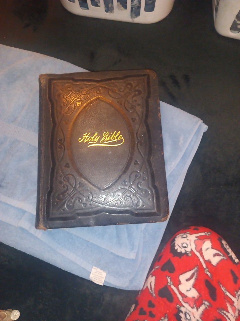 VINTAGE  Holy  BIBLE  Copy Right 1891 