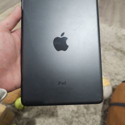 Ipad mini Icloud Locked