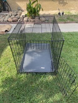 XL Dog Crate