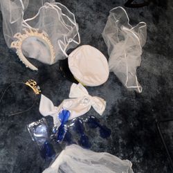 Bachelorette Accessories 