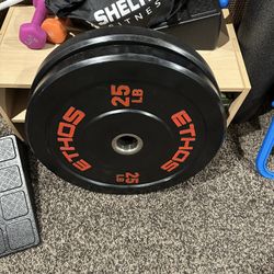 Bumper Weight Plates