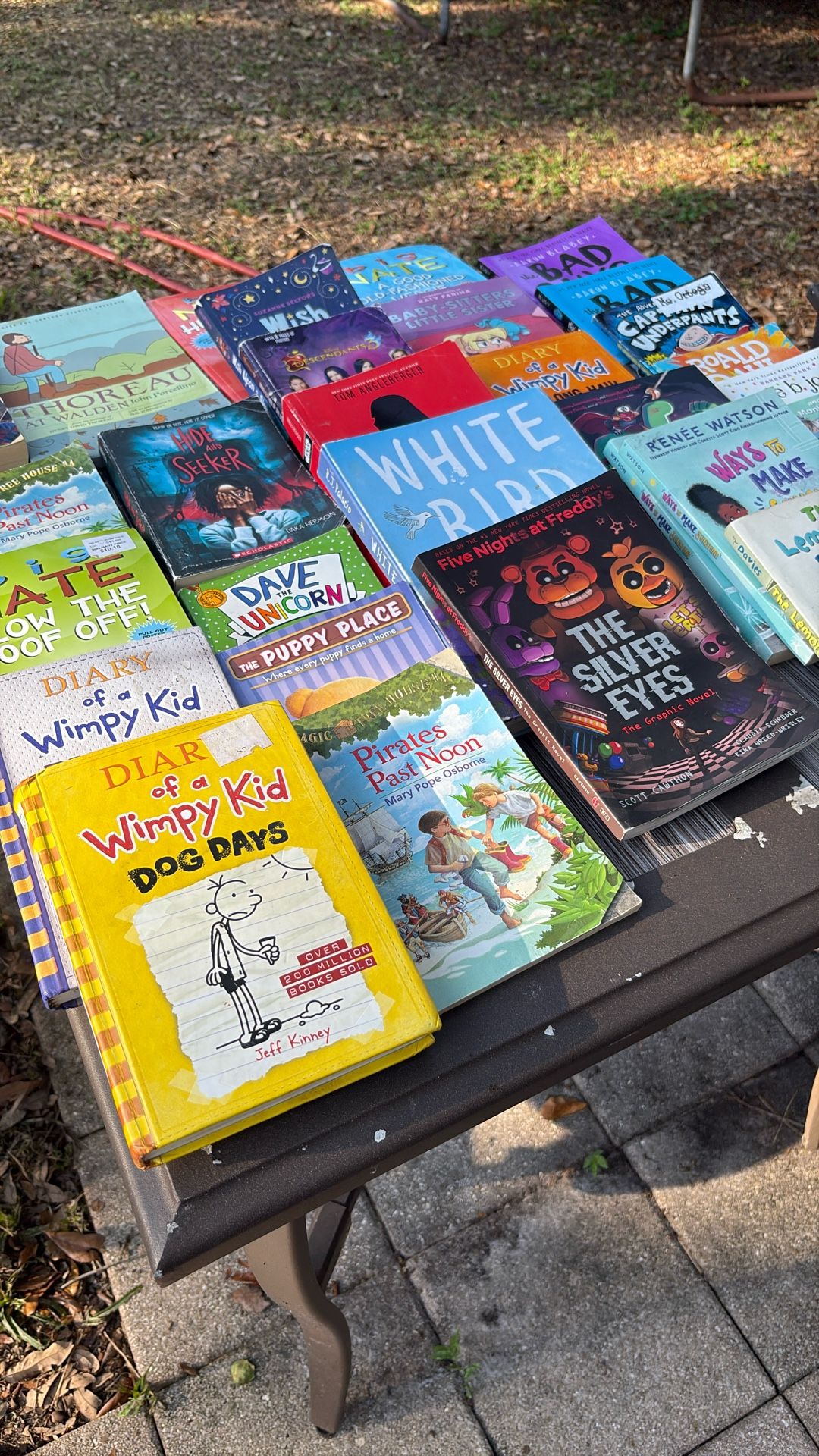 Children’s Books