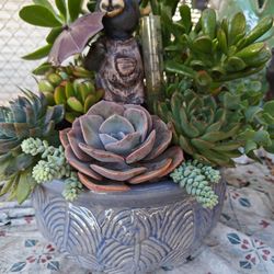 Large Succulents Arrangement With Decor 
