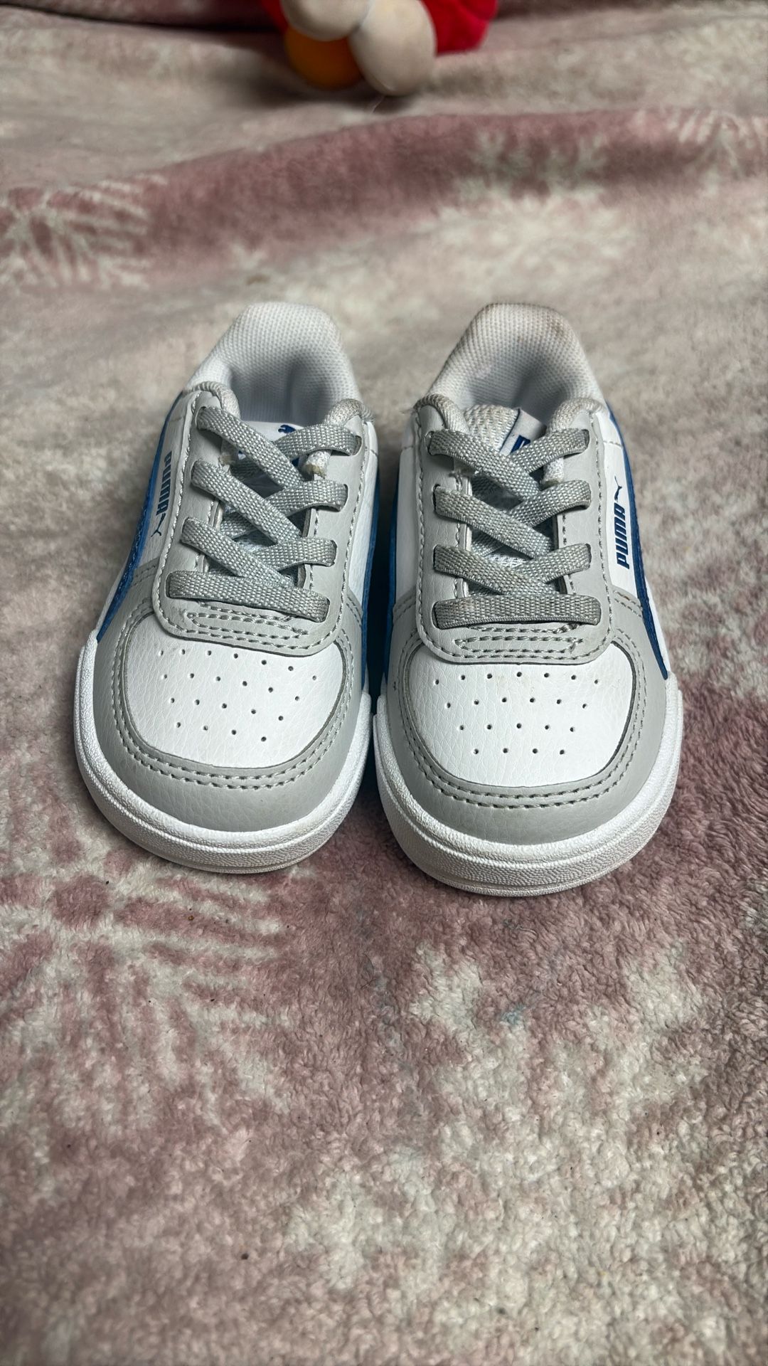 Baby Pumas