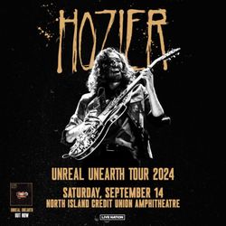 Hozier Tickets - 2 (lawn)