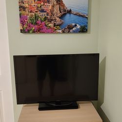 Insignia 32 in LED HD TV
