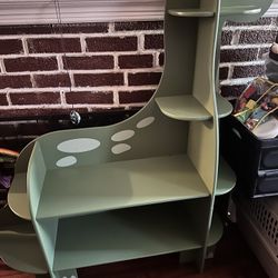 Dinosaur Book Shelf 