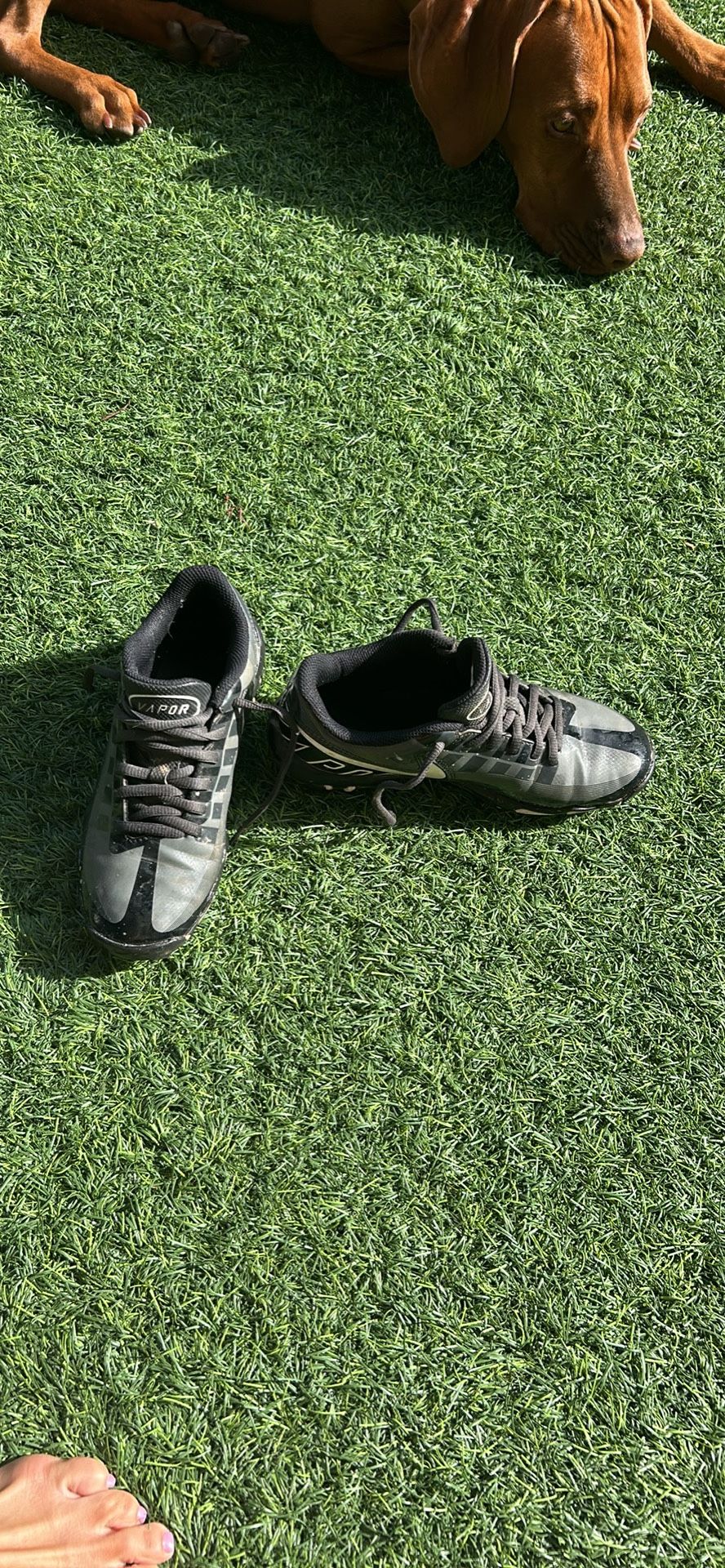 nike vapor baseball cleats youth