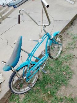 Blue Beard Bike.