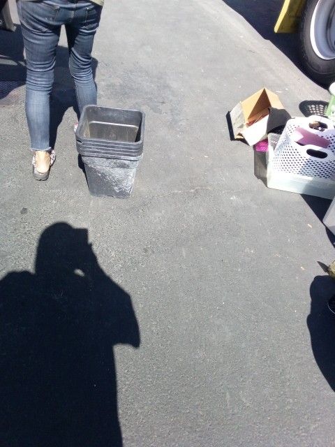 Planners 15 Gallon Planters And That's 15 Gallons