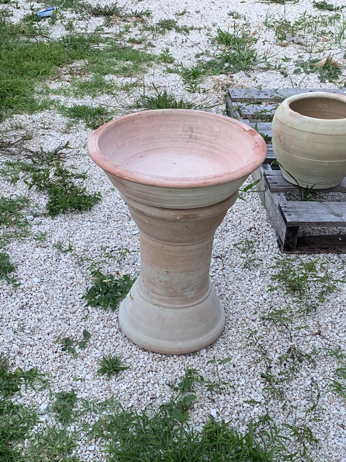 Bird Bath 