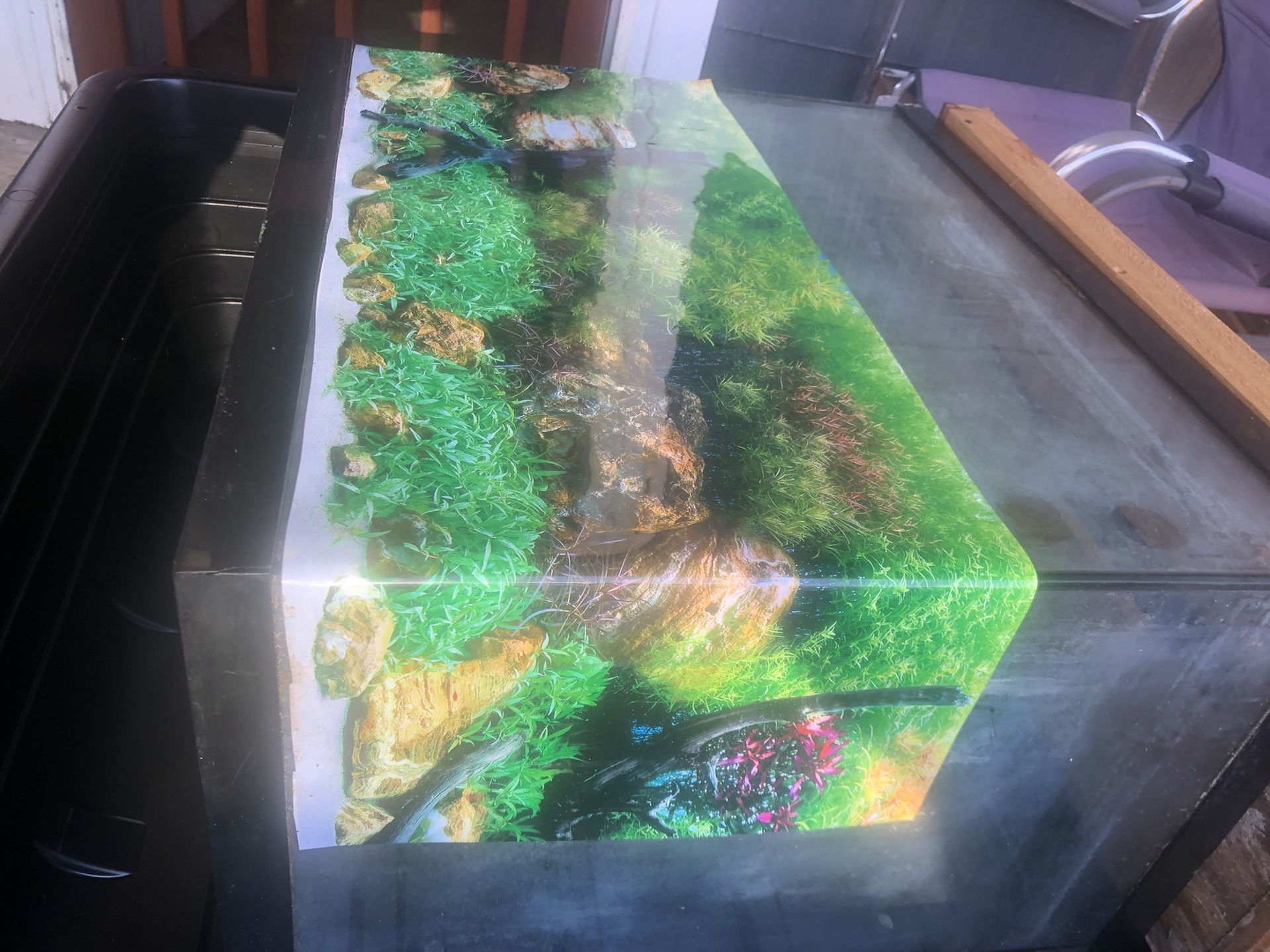 75 Gallon Fish Tank