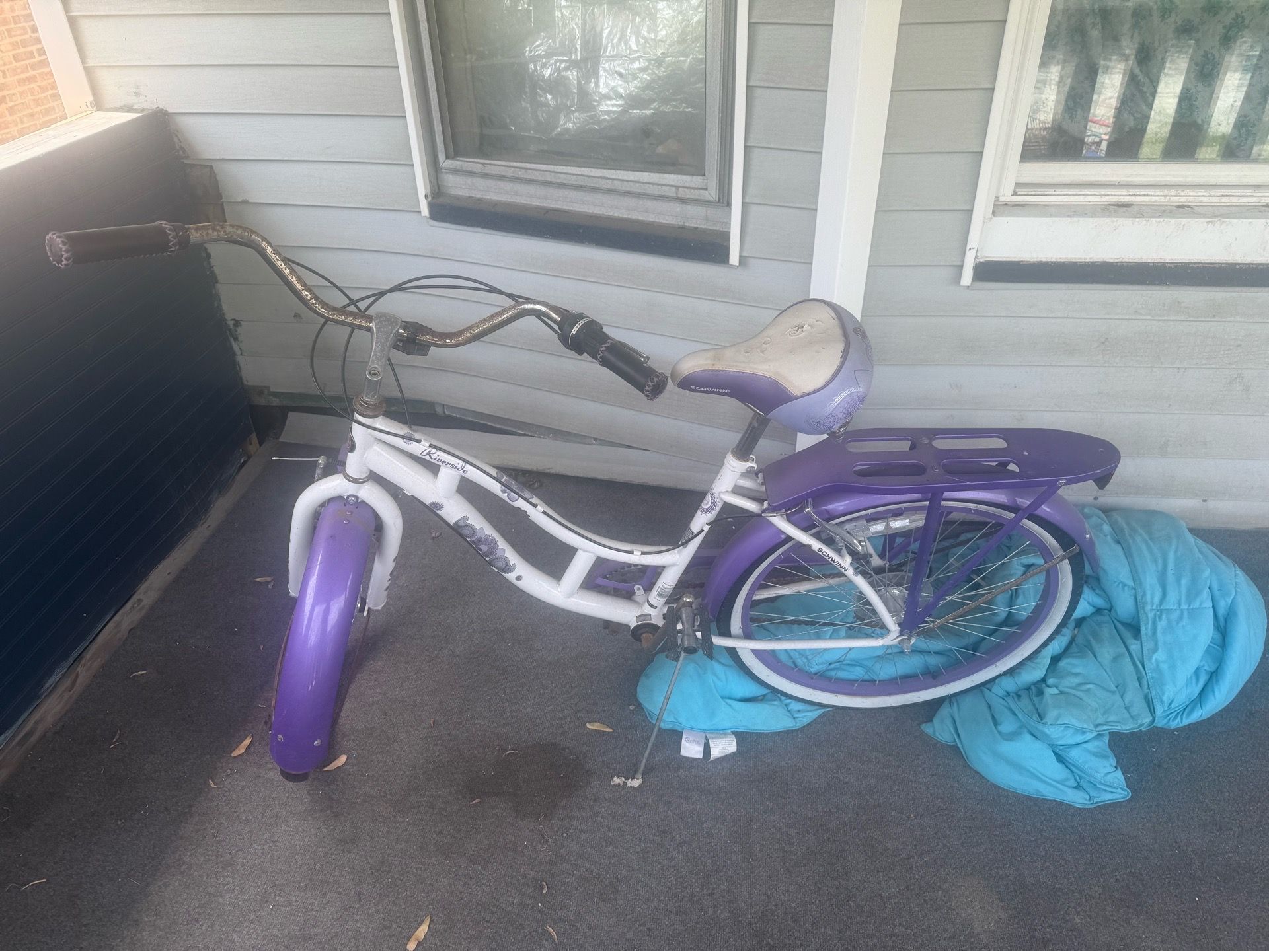 Purple riverside schwin bike