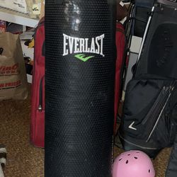 Everlast 70-lb. Everstrike Heavy Bag 