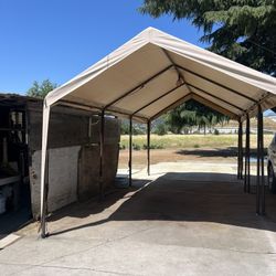 Carpa 