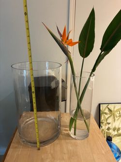 Large Clear Glass Cylinder Vases – Set of 2 – $20