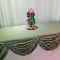 Backdrop Y Centros De Mesa Tema Cactus