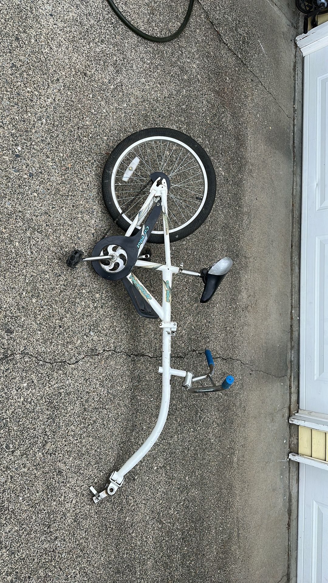 Trailer Bike WeRide Copilot