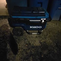 Igloo Pull Cooler