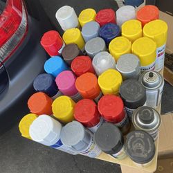 35 Bottles Spray Pain