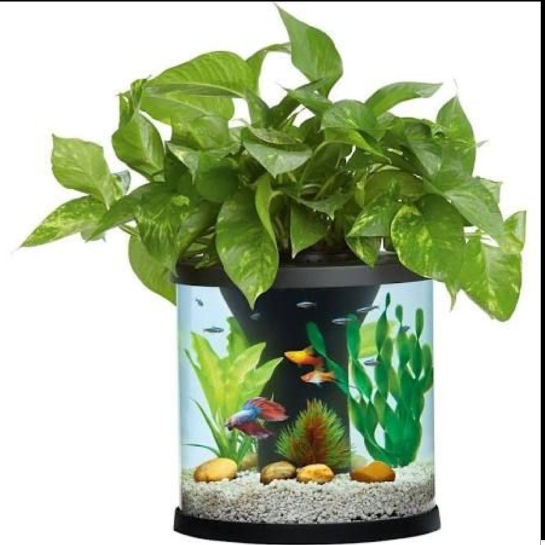 Top fin aquaponics desk aquarium. 3.5 gal