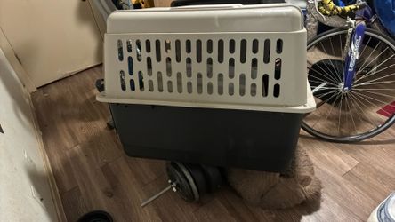 Petmate vari dog