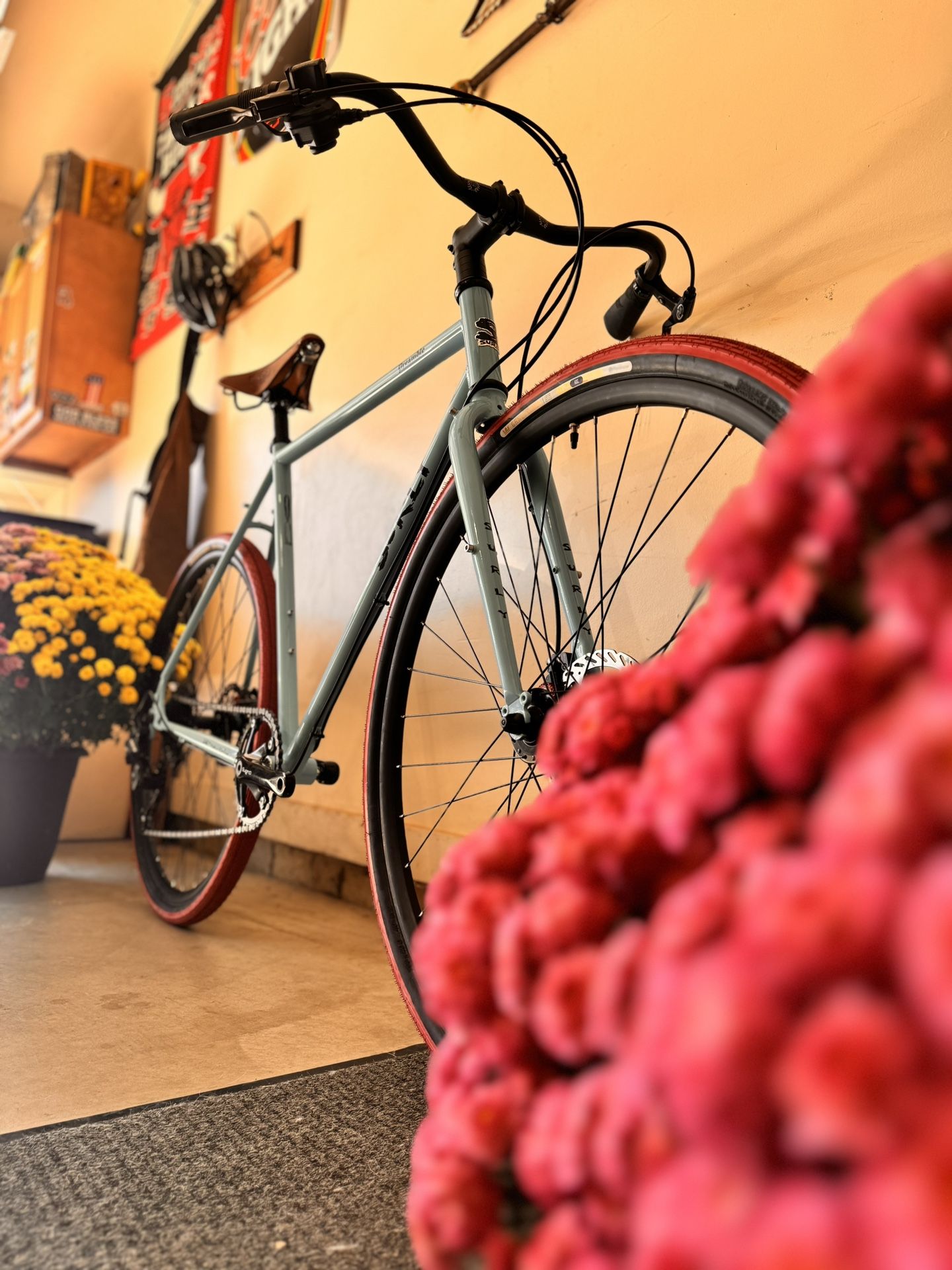 🌺 Surly Preamble🌺