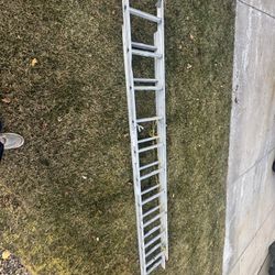 large Painters Ladder