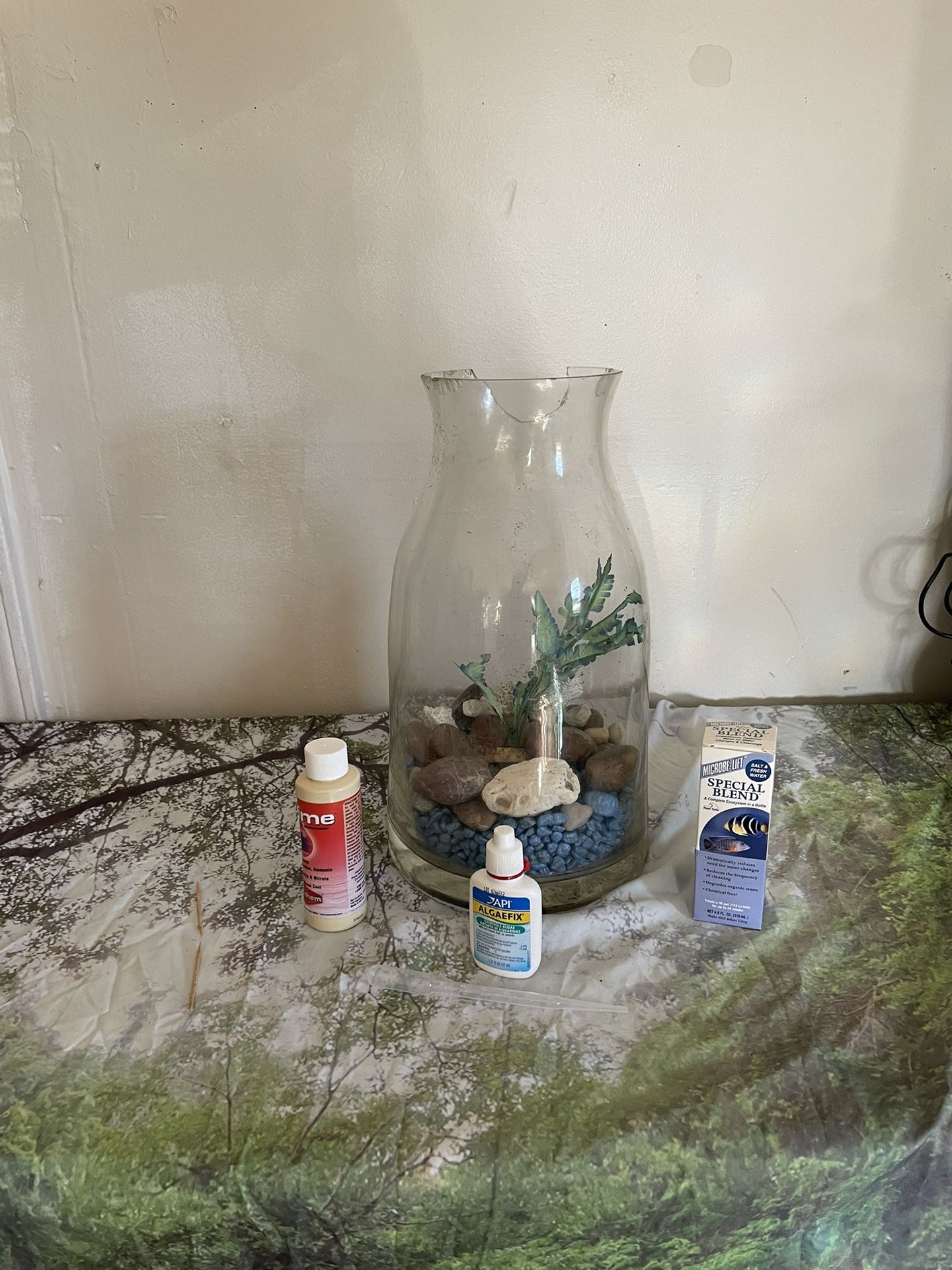 Aquarium& accessory