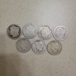 Cull Morgan And Peace Silver Dollars.  $32 Each 