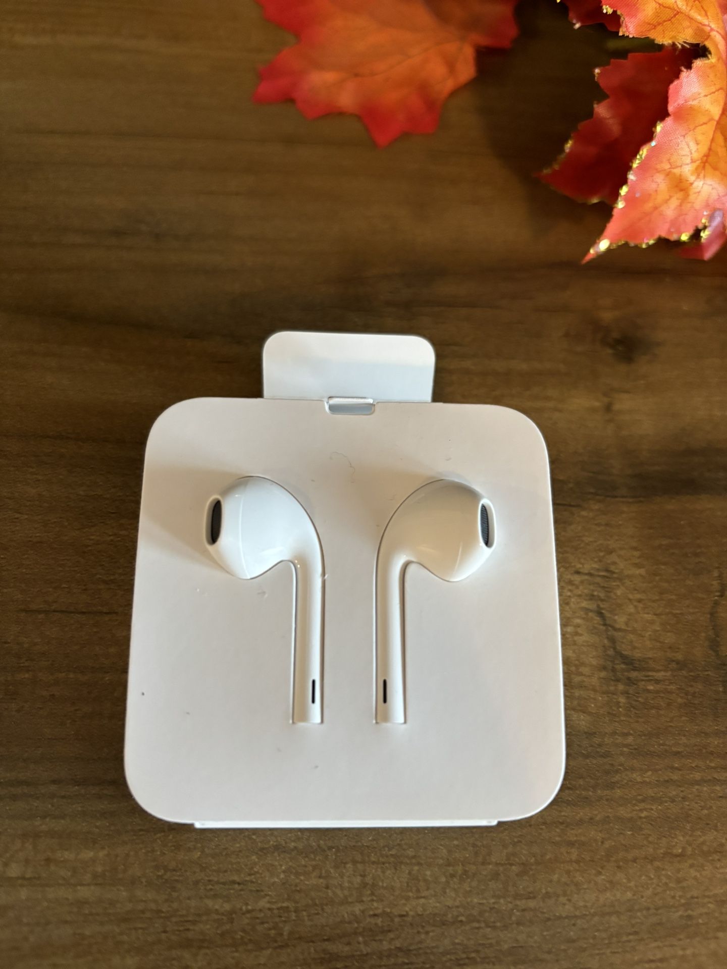 Wired Headphones