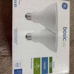 Basic LED Floodlight / Count 