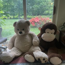 Giant Teddy Bears 