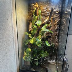 zoo med  reptile enclosures