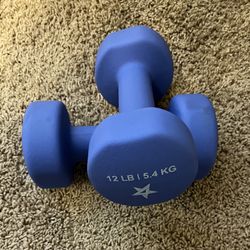 12 Lb Pair Neoprene Coated Dumbbells