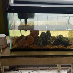 Aquarium Small