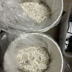 Paint Flakes, Beige, And White