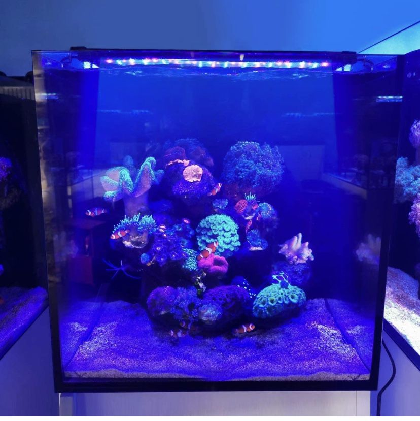 LUXCARE 25W Saltwater Aquarium Light with Full Spectrum LED, Exclusive Reef Coral Light Spectrum for 18-24 inches Marine Nano Fish Tank,Dim Dual Chann