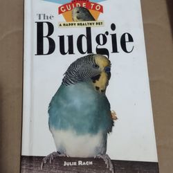 Guide To A Happy Healthy Pet. The Budgie