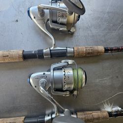 Quantum Cabo Pts40 With Star Rods 